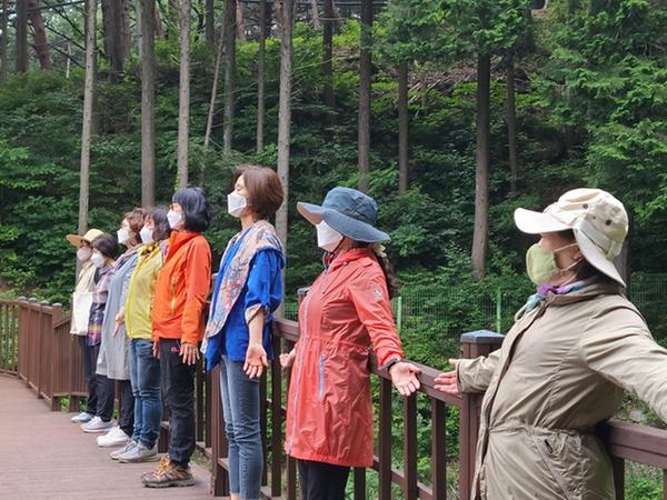 [치유의 숲] 활력숲-활기차데이~65세이상 성인 (055-225-4241)