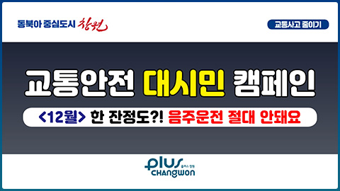 12월 교통안전 대시민 캠페인