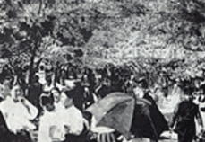1930년대 벚꽃장 광경