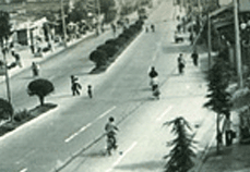 1970년 중앙로