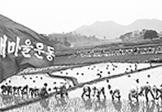 농촌일손돕기모내기