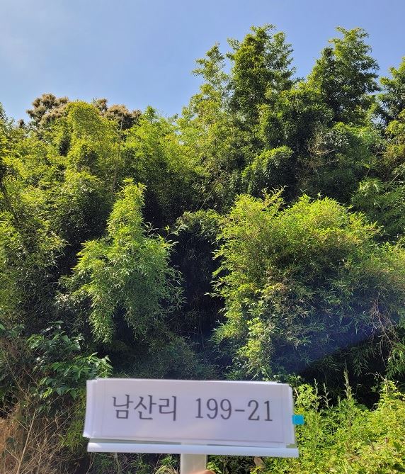 의창구 동읍 남산리 199-21(근).JPG