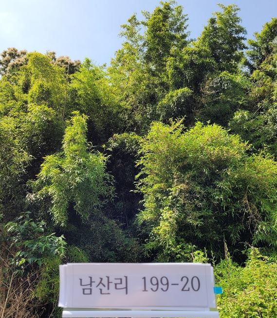 의창구 동읍 남산리 199-20(근).JPG