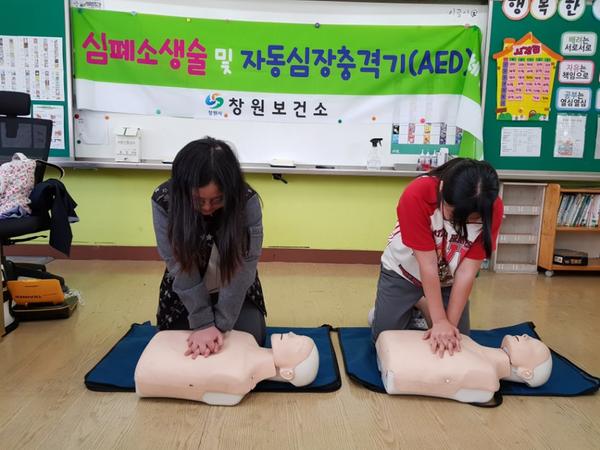 석전초.JPG