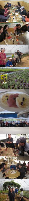jahwal-20120502053015.jpg