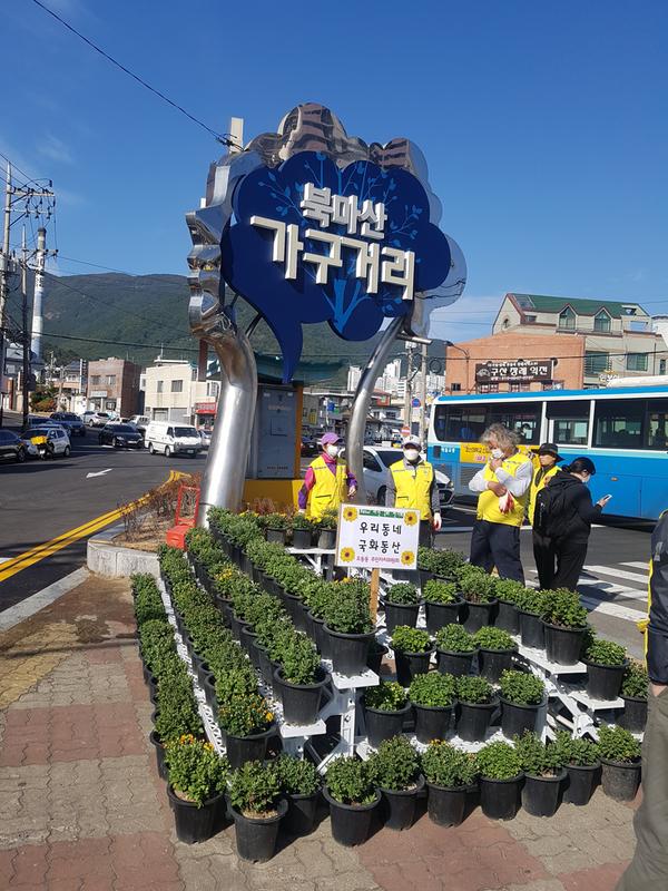 오동동 국화화단 조성2