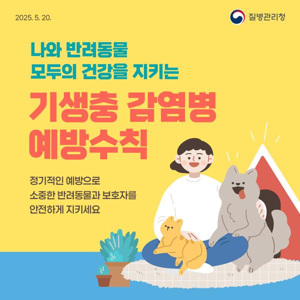 기생충카드뉴스