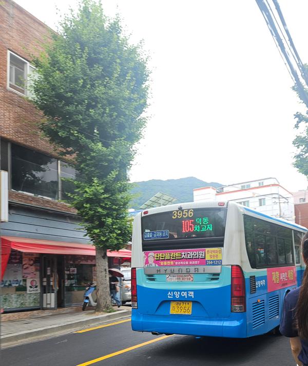 제가 이용했던 버스