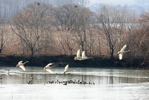 창원특례시, 주남저수지 AI 출입통제 해제