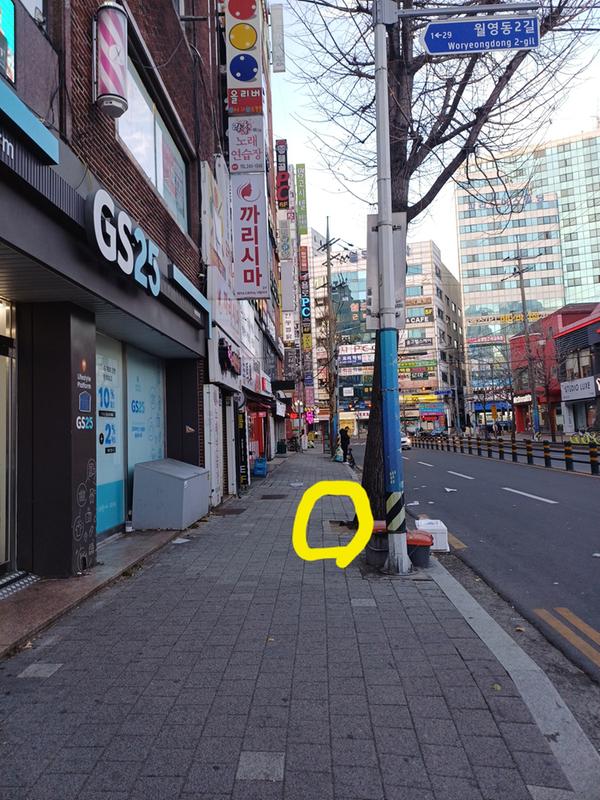 비둘기 사체 위치