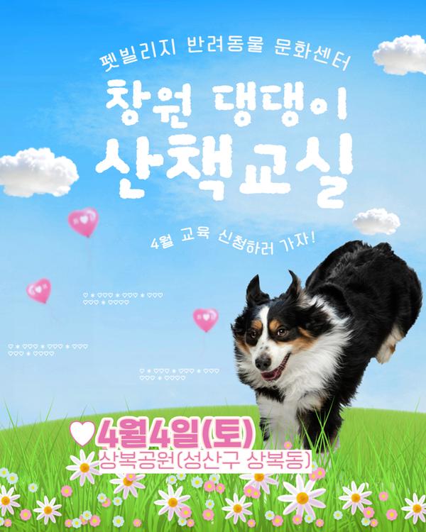 펫빌리지 반려동물 문화센터 창원 댕댕이 산책교실 4월 교육 신청하러 가자! 4월4일(토) 상복공원(성산구 상복동) 