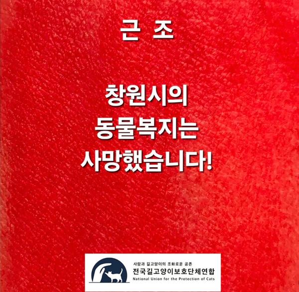 헛소리