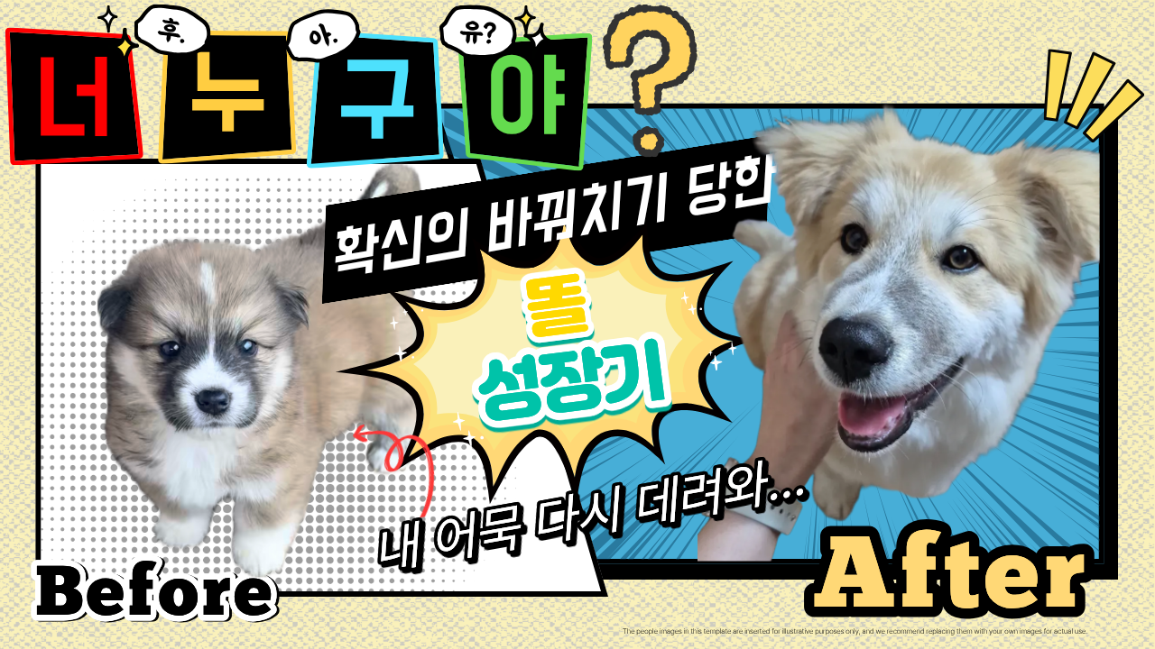 입양후기 이미지