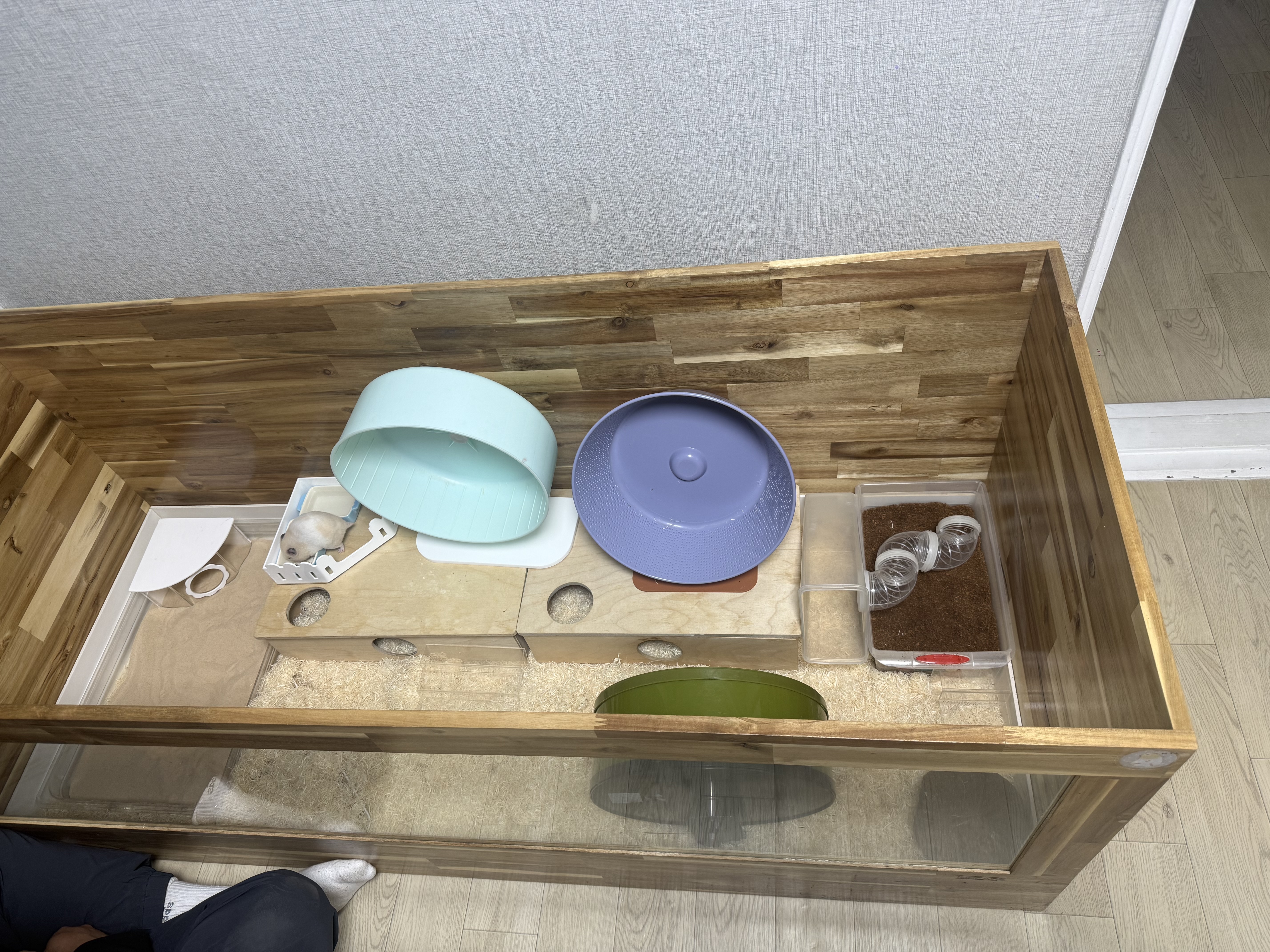 입양후기 이미지
