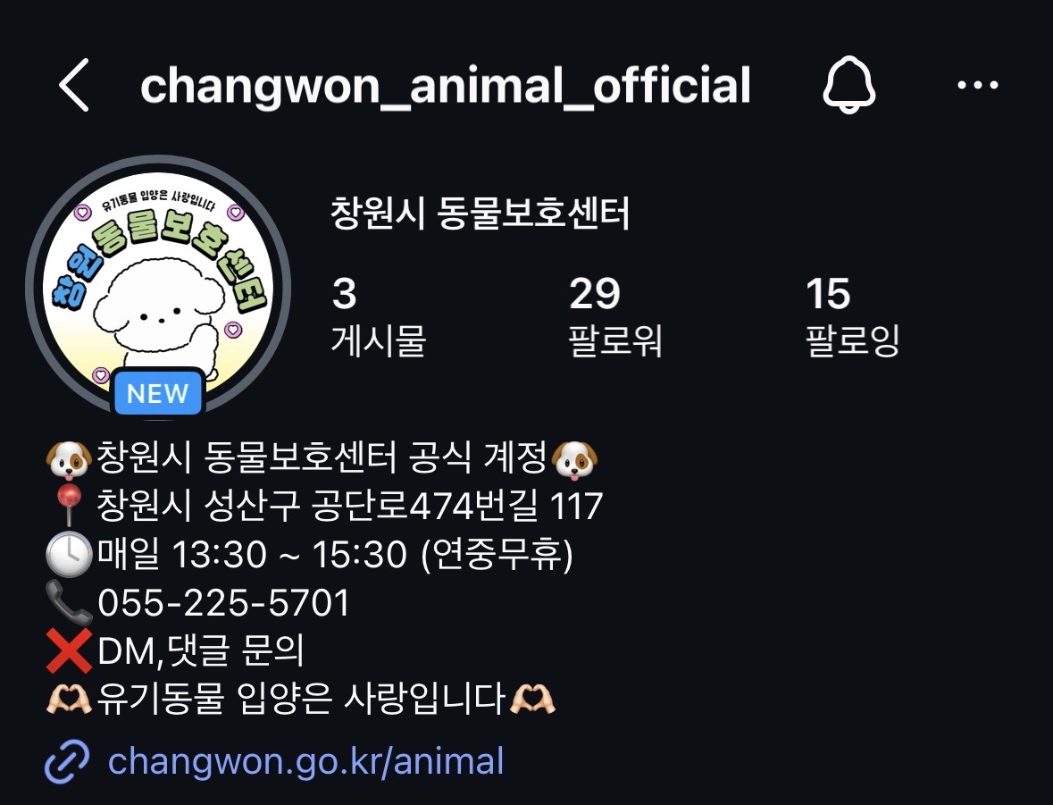 보호동물 일상
