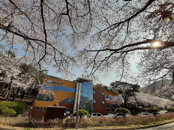 [치유의 숲] 산림치유 프로그램 단체(문의 전화:055-225-4241)