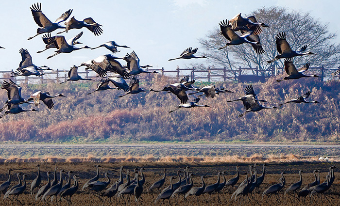 창원시보 제374호