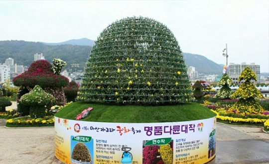 세계 최대 다륜 대작(국화) 작품 보유