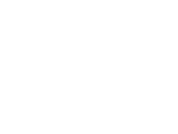 게시판(info)