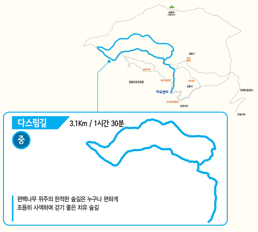 다스림길(중)3.1km / 1시간 30분 : 편백나무 위주의 한적한 숲길은 누구나 편하게 조용히 사색하며 걷기 좋은 치유숲길