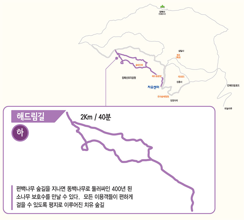 해드림길(하) 2km / 40분 : 편백나무 숲길을 지나면 동백나무로 둘러싸인 400년 된 소나무 보호수를 만날 수 있다. 모든 이용객들이 편하게 걸을 수 있도록 평지로 이루어진 치유숲길