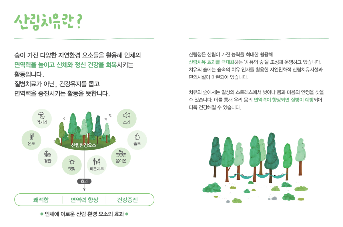 산림치유란?
                                                                      숲이 가진 다양한 자연환경 요소들을 활용해 인체의 면역력을 높이고 신체와 정신건강을 회복시키는 활동입니다.
                                                                      질병치료가 아닌, 건강유지를 돕고 면역력을 증진시키는 활동을 뜻합니다.
                                                                      인체에 이로운 산림환경요소의 효과
                                                                      산림환경요소:먹거리,온도,경관,햇빛,피톤치드,음이온,습도,소리->효과 : 쾌적함, 면역력 향상, 건강증진
                                                                      산림청은 산림이 가진 능력을 최대한 활용해 산림치유 효과를 극대화하는 치유의 숲을 조성해 운영하고 있습니다.
                                                                      치유의 숲에는 숲속의 치유 인자를 활용한 자연친화적 산림치유시설과 편의시설이 마련되어 있습니다.
                                                                      치유의 숲에서는 일상의 스트레스에서 벗어나 몸과 마음의 안정을 찾을 수 있습니다.
                                                                      이를 통해 우리 몸의 면역력이 향상되면 질병이 예방되어 더욱 건강해질 수 있습니다.