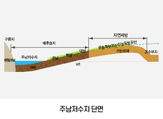 주남저수지 단면