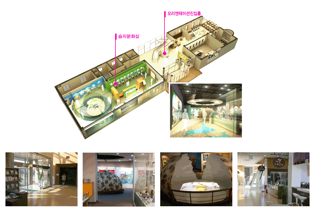 람사르문화관 1f 이미지 - 오리엔테이션진입홀, 습지문화실