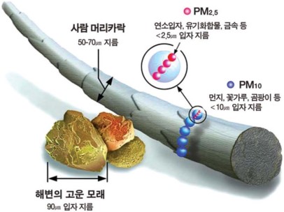 사람머리카락 50~70㎛ 지름, PM2.5 연소입자,유기화합물,금속 등<2.5㎛ 입자지름 , PM10 먼지, 꽃가루,곰팡이 등 <10㎛입자 지름, 해변의 고운 모래 90㎛입자지름  