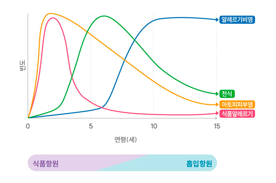 식품알레르기:  0세~5세 최고치
                                                                  아토피피부염 : 0세~5세  최고치
                                                                  천식 : 5세~10세 최고치
                                                                  알레르기비염 : 10년에서 최고치 유지