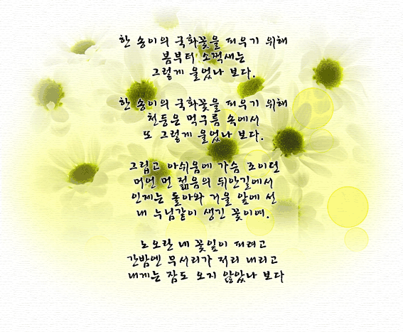 한 송이의 국화꽃을 피우기 위해 봄부터 소쩍새는 그렇게 울었나보다. 한 송이의 국화꽃을 피우기 위해 천둥은 먹구름 속에서 또 그렇게 울었나본다.
                                                                  그립고 아쉬움에 가슴조이던 머언 먼 젊음의 뒤안길에서 인제는 돌아와 거울 앞에 선 내 누님같이 생긴 꽃이여. 노오란 네 꽃잎이 피려고 간밤엔 무서리가 저리 내리고 내게는 잠도 오지 않았나 보다.