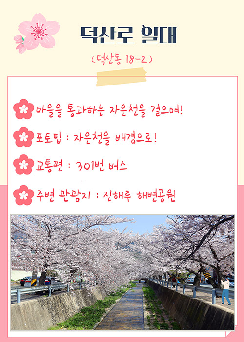 덕산로 일대(덕산동 18-2)
-마을을 통과하는 자은천을 걸으며!
-포토팁 : 자은천을 배경으로!
-교통편 : 301번 버스
-주변 관광지 :진해루 해변공원