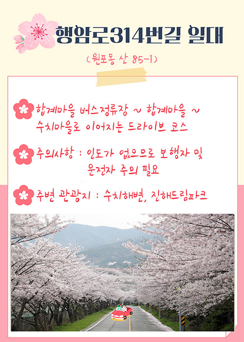 행암로314번길 일대(원포동 85-1)
-합계마을 버스정류장~ 합계마을 ~ 수치마을로 이어지는 드라이브 코스
-주의사항 : 인도가 없으므로 보행자 및 운전자 주의 필요!
-주변 관광지 :수치해변, 진해드림파크