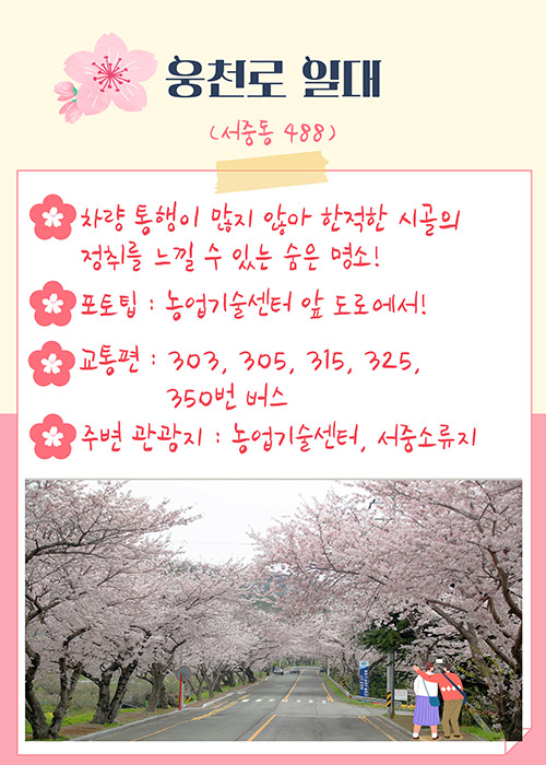 웅천로 일대(서중동 488)
-차량통행이 많지 않아 한적한 시골의 정취를 느낄 수 있는 숨은 명소!
-포토팁 : 농업기술센터 앞 도로에서!
-교통편 : 303, 305, 315, 325, 350번 버스
-주변 관광지 :농업기술센터, 서중소류지