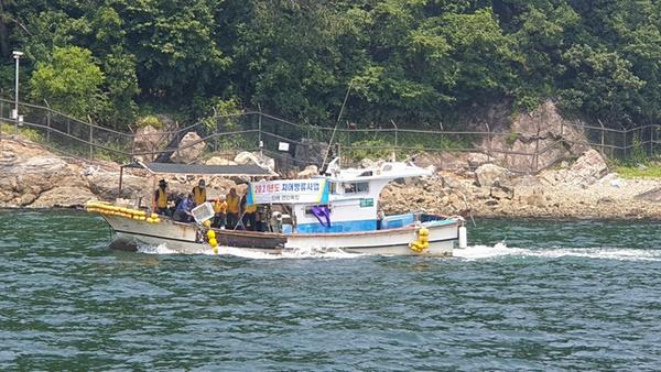 창원시, 어업자원증강 위해 감성돔 어린고기 20만마리 방류 