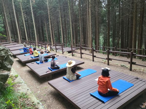 창원시, 편백 치유의 숲 산림치유프로그램 운영 창원시, 편백 치유의 숲 산림치유프로그램 운영 (1).jpg