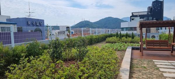 창원시, 민간지원 옥상녹화사업 추진 및 신청 접수.창원시, 민간지원 옥상녹화사업 추진 및 신청 접수.jpeg