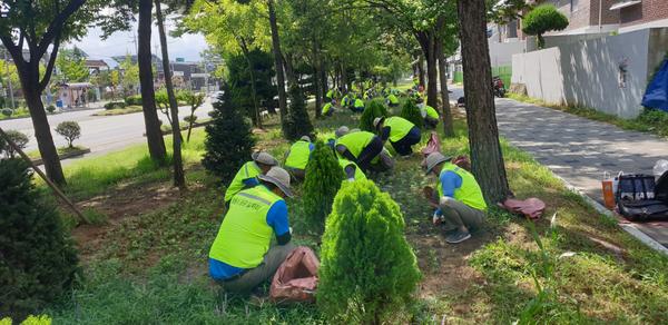 창원시, 진해구 고용위기지역 극복 그린일자리 시행창원시, 진해구 고용위기지역 극복 그린일자리 시행(그린일자리 1차).jpeg