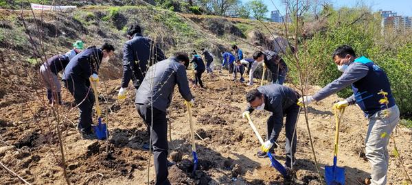 창원시, &lsquo;미세먼지 없는 창원&rsquo; 위해 조림사업 본격 추진창원시, ‘미세먼지 없는 창원’ 위해 조림사업 본격 추진.jpg