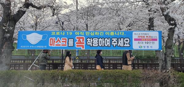창원시 &ldquo;진해 벚꽃 관광지 관리, 시민 협조로 무사히 마쳤습니다&rdquo;창원시 “진해 벚꽃 관광지 관리, 시민 협조로 무사히 마쳤습니다” (1).jpg