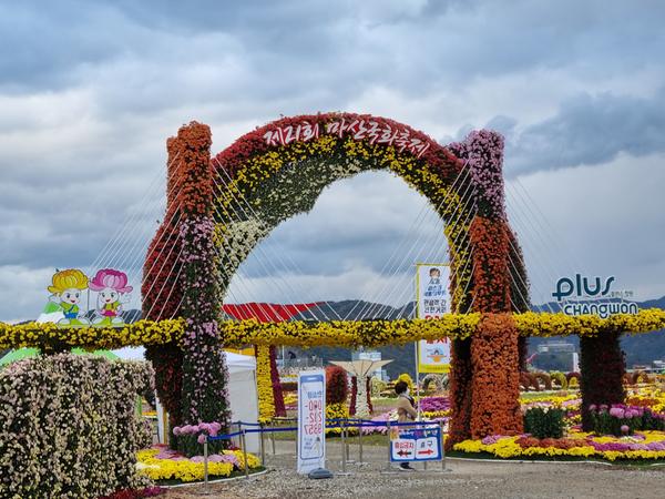 국화축제에 갔다가 찾았어요