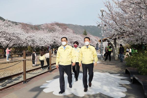 허성무 창원시장, 진해 벚꽃명소 찾아 방역 수칙 점검 허성무 창원시장, 진해 벚꽃명소 찾아 방역 수칙 점검 (문화예술과) (1).jpg