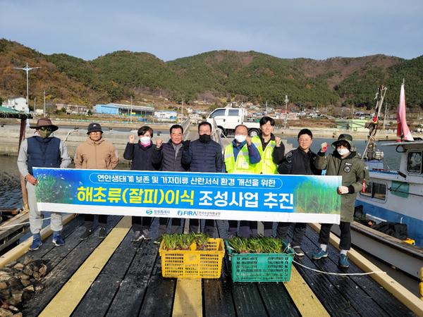 창원특례시, 진동만 다구리 해역에 잘피숲 2.88ha 조성