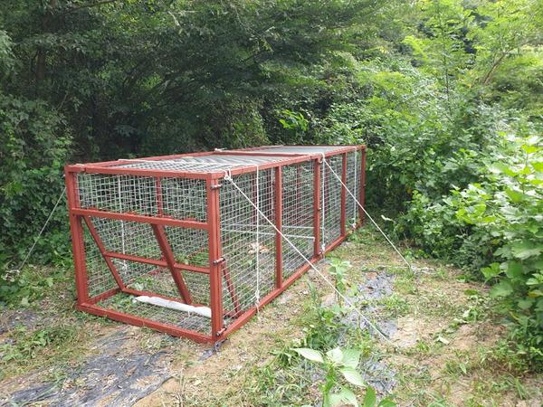 창원시, 유해야생동물 포획틀 임대사업 시행 창원시, 유해야생동물 포획틀 임대사업 시행 (1).jpg