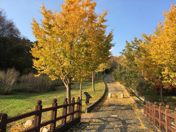진해드림로드, &lsquo;한국관광공사 가을 비대면 관광지 100선&rsquo; 선정진해드림로드, ‘한국관광공사 가을 비대면 관광지 100선’ 선정(관광과) (1).jpg