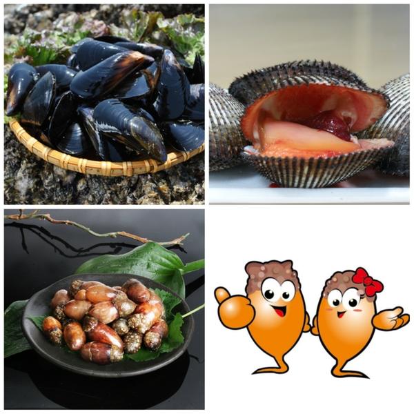 창원시, NC다이노스와 수산물 스포츠 마케팅 추진 (창원시대표수산물).창원시, NC다이노스와 수산물 스포츠 마케팅 추진 (창원시대표수산물).jpg