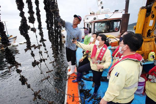 창원시, 빈산소수괴 피해 어가 4억 2천만원 규모 지원 확정 창원시, 빈산소수괴 피해 어가 4억 2천만원 규모 지원 확정 (수산과) (1).jpg