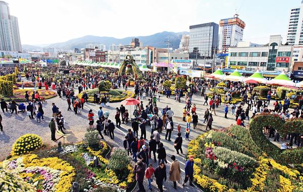 창원시, &lsquo;마산국화축제&rsquo; 대신 &lsquo;Hallo! 마산 국화 전시회&rsquo; 개최 (제19회국화축제).창원시, ‘마산국화축제’ 대신 ‘Hallo! 마산 국화 전시회’ 개최 (제19회국화축제).JPG