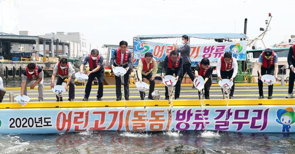 창원시, 마산 원전항서 돌돔 어린고기 27만 마리 방류 창원시, 마산 원전항서 돌돔 어린고기 27만 마리 방류 (수산과) (1).jpg