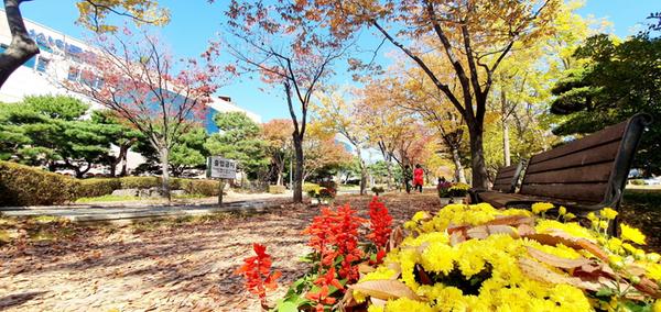.[창원58열전]46번째.도시에서 낭만을 느끼다, 의창구 용지동(단풍).2.[창원58열전]46번째.도시에서 낭만을 느끼다, 의창구 용지동(단풍).jpg